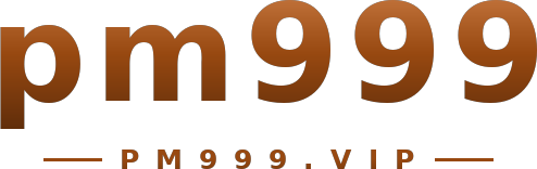 pm999 logo